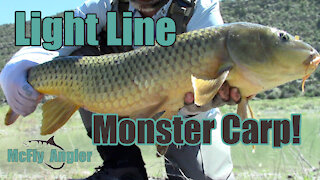 Trout ROD vs CARP! - 21 minute fight!! - Fly Fishing monster Carp - McFly Angler Episode 17