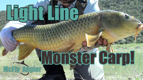Trout ROD vs CARP! - 21 minute fight!! - Fly Fishing monster Carp - McFly Angler Episode 17
