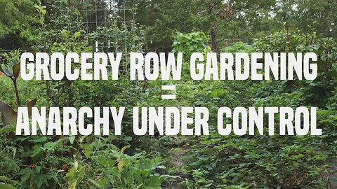 Grocery Row Gardening = Anarchy Under Control