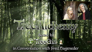 TreeAlchemy–TreeGirl Interviews Fred Hageneder