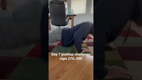Day 7 pushup challenge reps 276-300