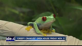 NNU home to rare treefrog species