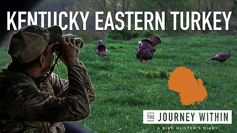 Kentucky Eastern Turkey Hunt: The Journey Within - A Bird Hunter's Diary | Mark V Peterson Hunting