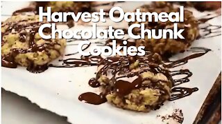 Harvest Oatmeal Chocolate Chunk Cookies - Recipe