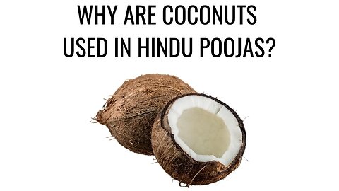 THE SPIRITUAL REASONS FOR USING COCONUTS IN HINDU POOJAS?
