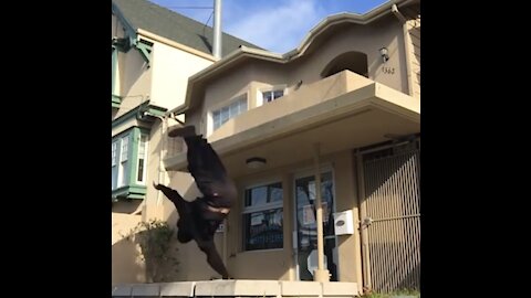 Guy Attempting Skateboard Trick Falls Off Balcony