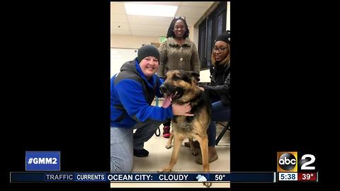 Dog reunited with family after missing for three years