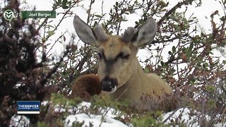 CSU professor works thousands a mile from Colorado