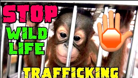 Stop The Wild Life Trafficing!