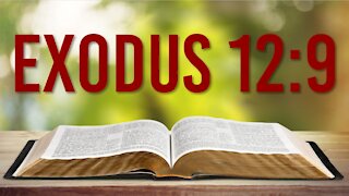 EXODUS 12: 9 – HIS LEGS