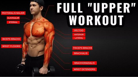 The Best Science-Based Upper Body Workout for Growth (Chest/Back/Arms/Shoulders)