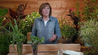 Melinda’s Garden Moment - Storage tips for keeping herbs fresh and flavorful