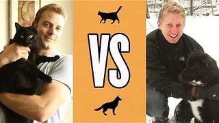 Cat owner life vs. dog owner life