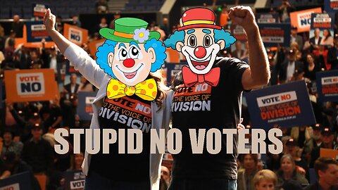 Stupid No Voters