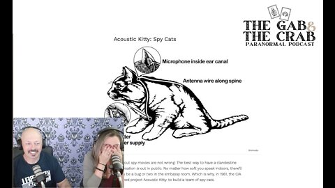 What was "Operation Acoustic Kitty?"