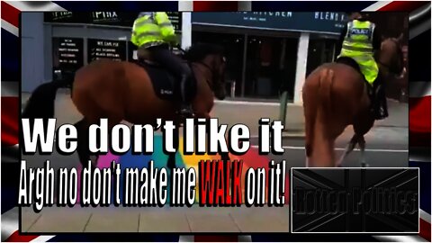 LGBT Crossing Spooks and Scares Police Horses