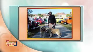 Cape Coral Charity Car Show