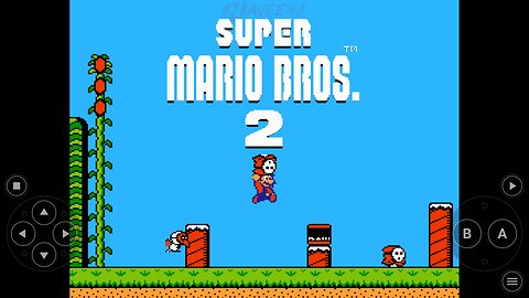 Super Mario Bros. 2 | Super Mario Bros. Sequel | Super Mario USA