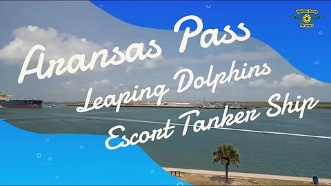 Drone Spots Leaping Dolphins Escorting Tanker Ship at Aransas Pass #dophin #tankerships #aransaspass