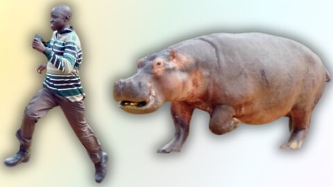 Terrifying Footage of Hippo Visciously Attacking Zoo Keeper