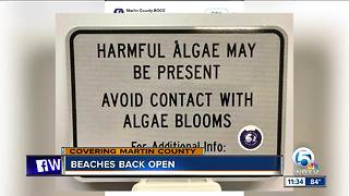 Martin County beaches back open after closure for algae