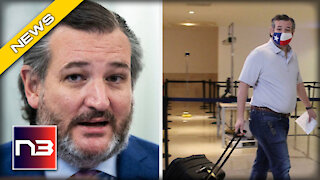 Liberal News Outlet EXONERATES Ted Cruz after Trip to Cancun PROVING He Shouldn’t Apologize