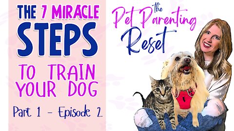 The 7 Miracle Steps To Train your Dog (Part 1) - The Pet Parenting Reset podcast episode 2