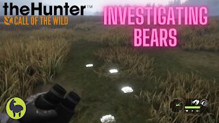 The Hunter: Call of the Wild, Hope- Investigating Bears
