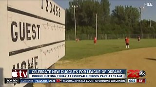 League of Dreams' park renovations done