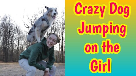 Funny Dog Jumping on Woman Back | Dog Training