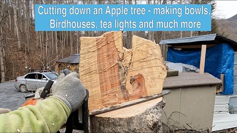 Cutting down an Apple tree - making bowls, Birdhouses, tea lights and much more