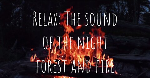 The sound of the night - forest and fire