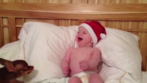 "Adorable Baby Giggles At Dog's Bark"