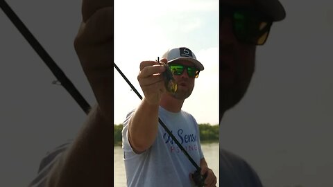 Get MORE Bites Using This Technique (Summer Bass Fishing HACK)