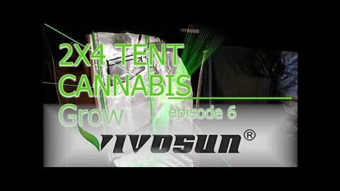 Vivosun Grow Tent 2x4 MAC1 Cannabis Grow ep. 6 🔨 Day 49 #Vivosun #420 #MAC1