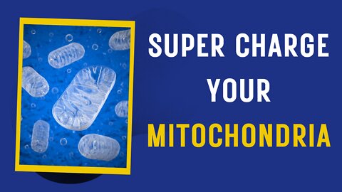 Supercharge your Mitochondria