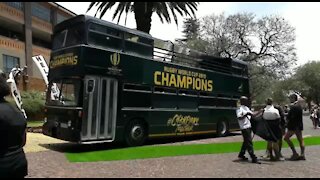 SOUTH AFRICA - Johannesburg - Springbok Rugby World Cup Trophy Tour (Video) (Nnm)