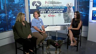 Clear the Shelters SPCA