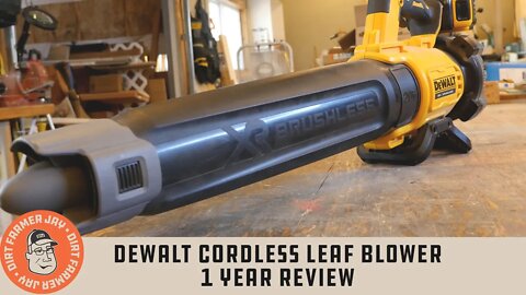 DeWalt Cordless Leaf Blower - 1 Year Review