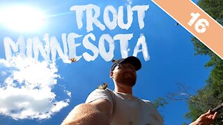 BUTTERFLIES, POISONOUS PLANTS, & REMOTE TROUT - Minnesota Walk-In Brown Trout Fishing