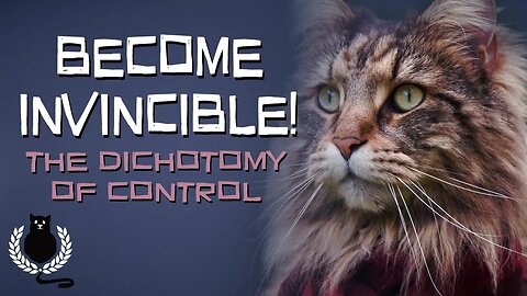 Become Invincible! | The Dichotomy of Control | Stoicism