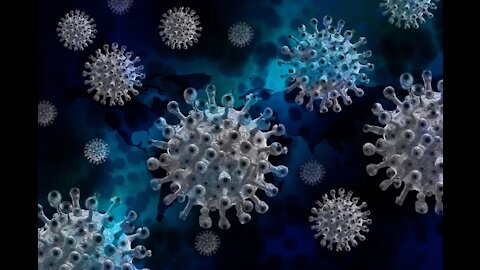 see in this video what "WHO" found out about coronavirus