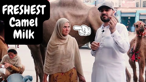FRESHEST Camel Milk and camel milk benefits | Street Food Peshawar