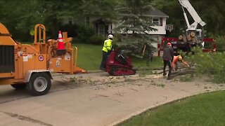 Local tree services facing staffing shortages, struggle with high demand after strong winds