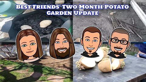 Gardening Season 2023: Best Friends Two Month Potato Gardens Update #upgc