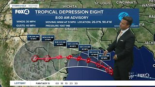 Tropical Storm Eight in the Gulf of Mexico