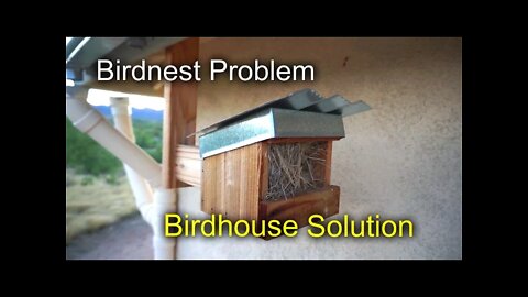 Birdnest Problem... Birdhouse Solution