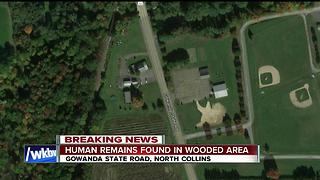 Human remains discovered in North Collins