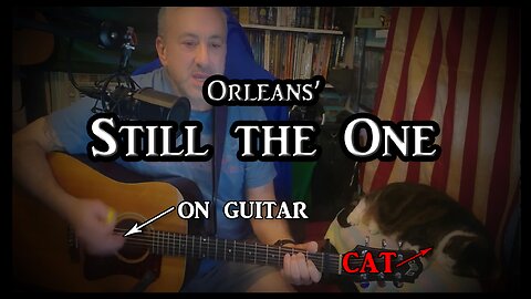 Orleans' "Still the One" on Guitar (with my cat)
