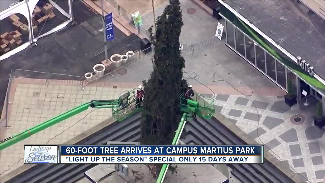 60-foot tree arrives at Detroit's Campus Martius Park